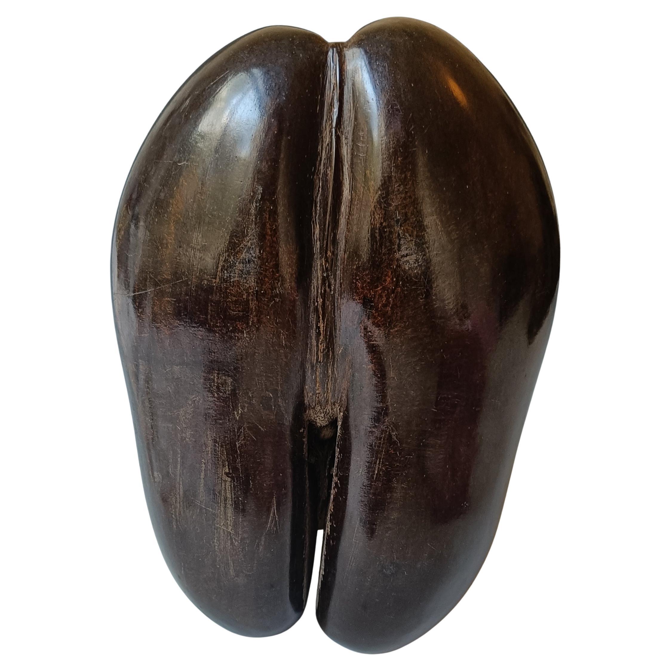 Contenitore Coco de mer vintage per decorazioni artistiche