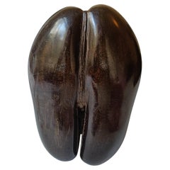 Contenitore Coco de mer vintage per decorazioni artistiche
