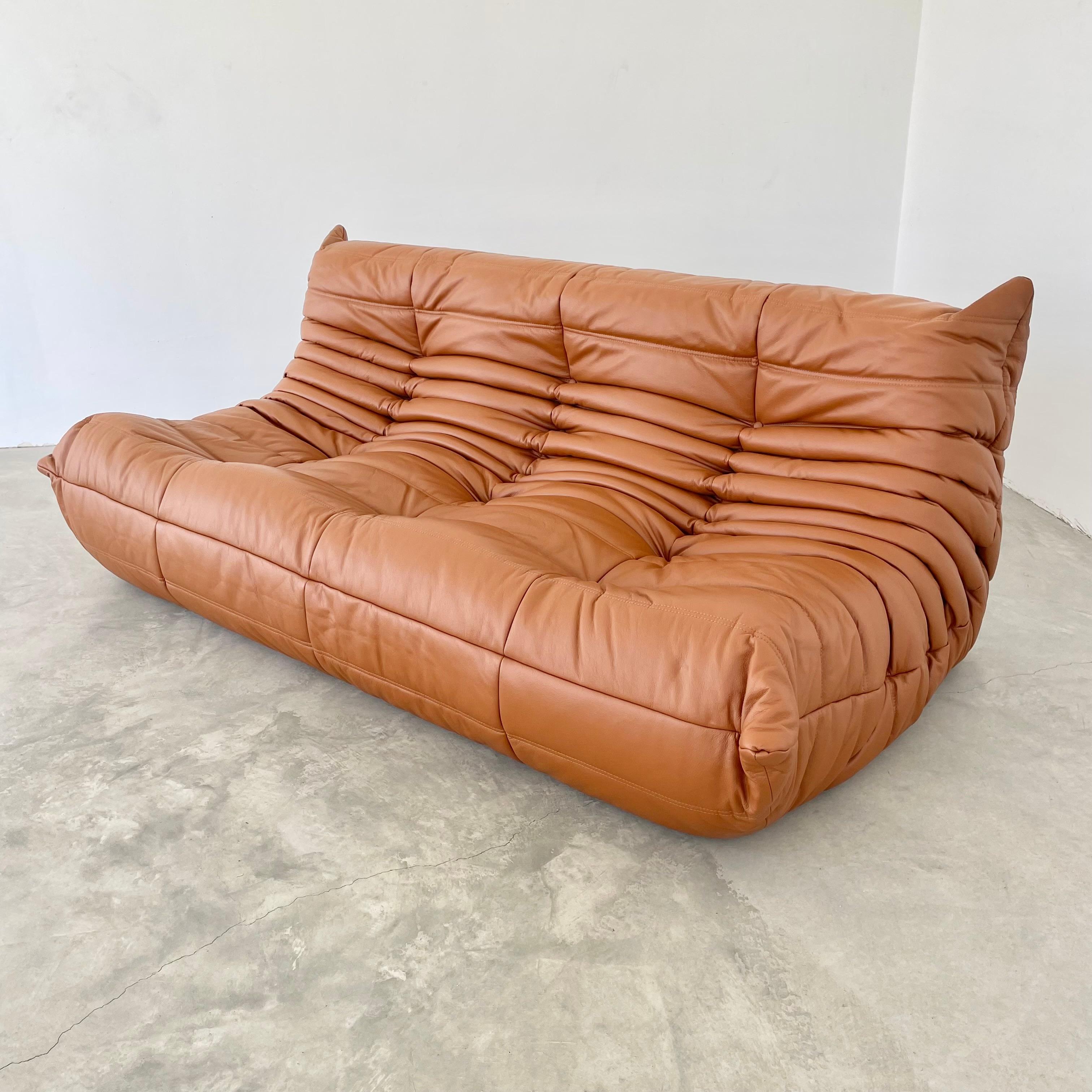 Cognac Leather Togo Set by Ligne Roset, 1980s France at 1stDibs | togo sofa,  ligne roset togo, togo couches