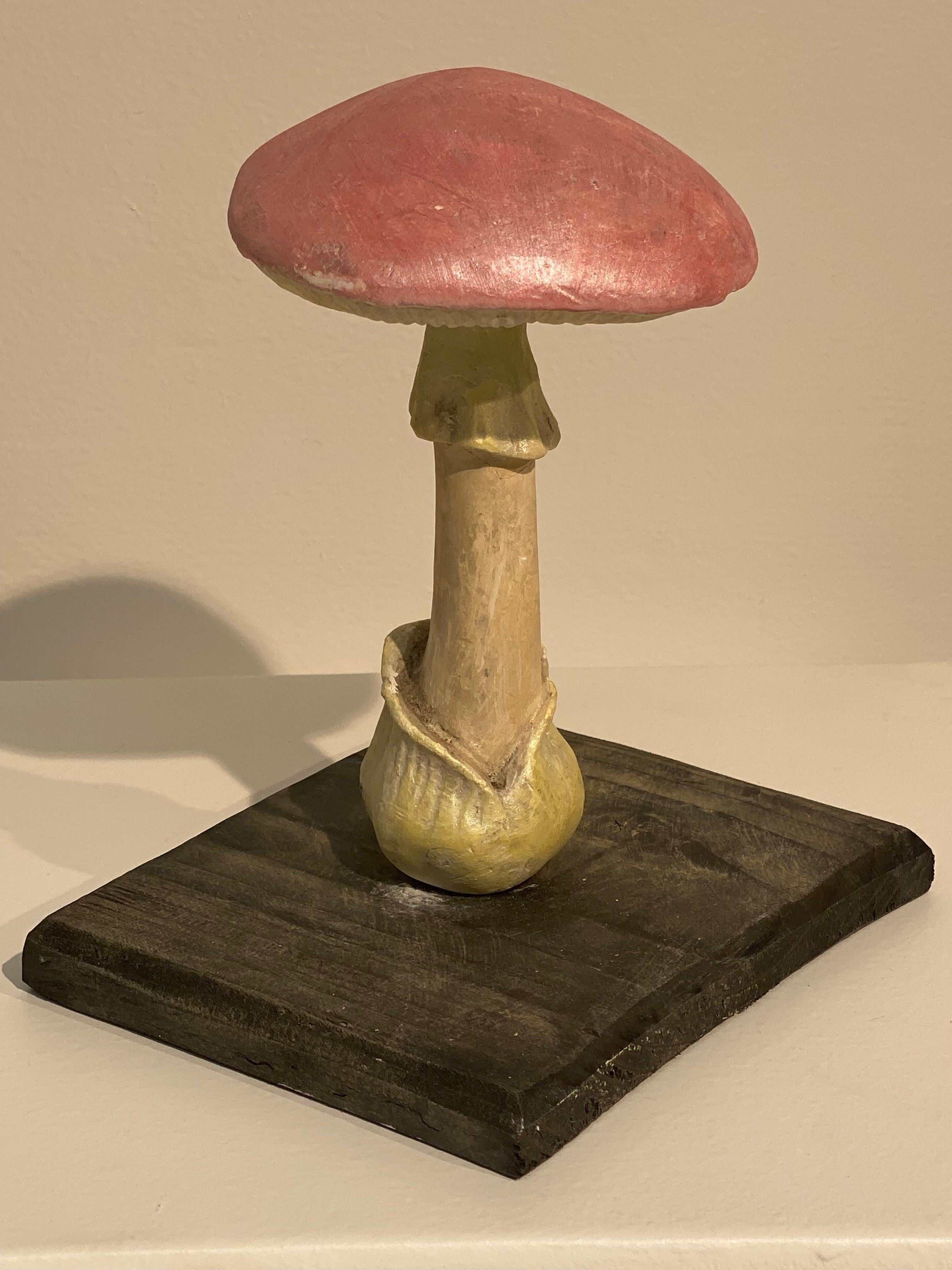 Collection'S di 10 modelli di funghi d'epoca 3
