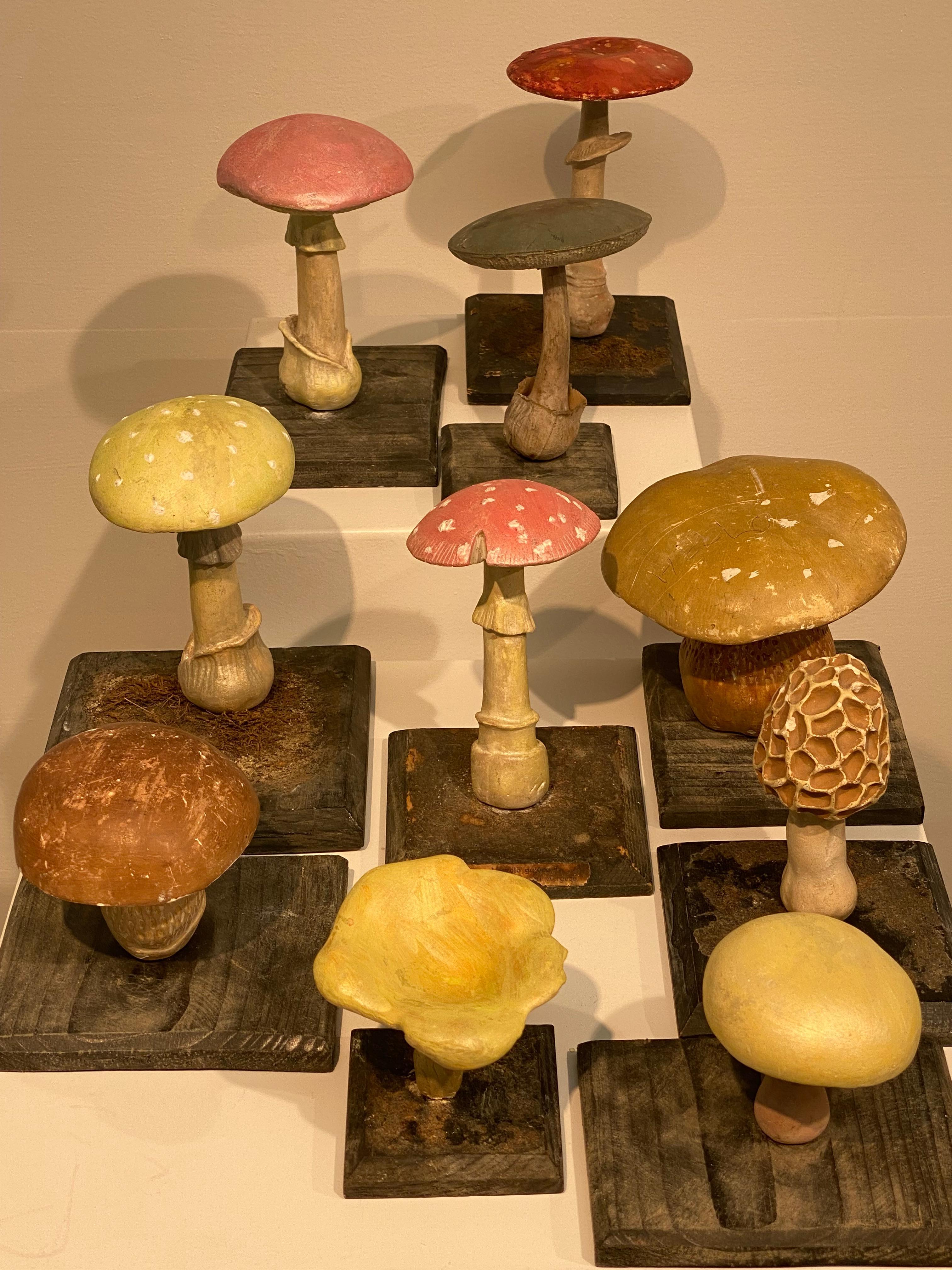 Collection'S di 10 modelli di funghi d'epoca 11