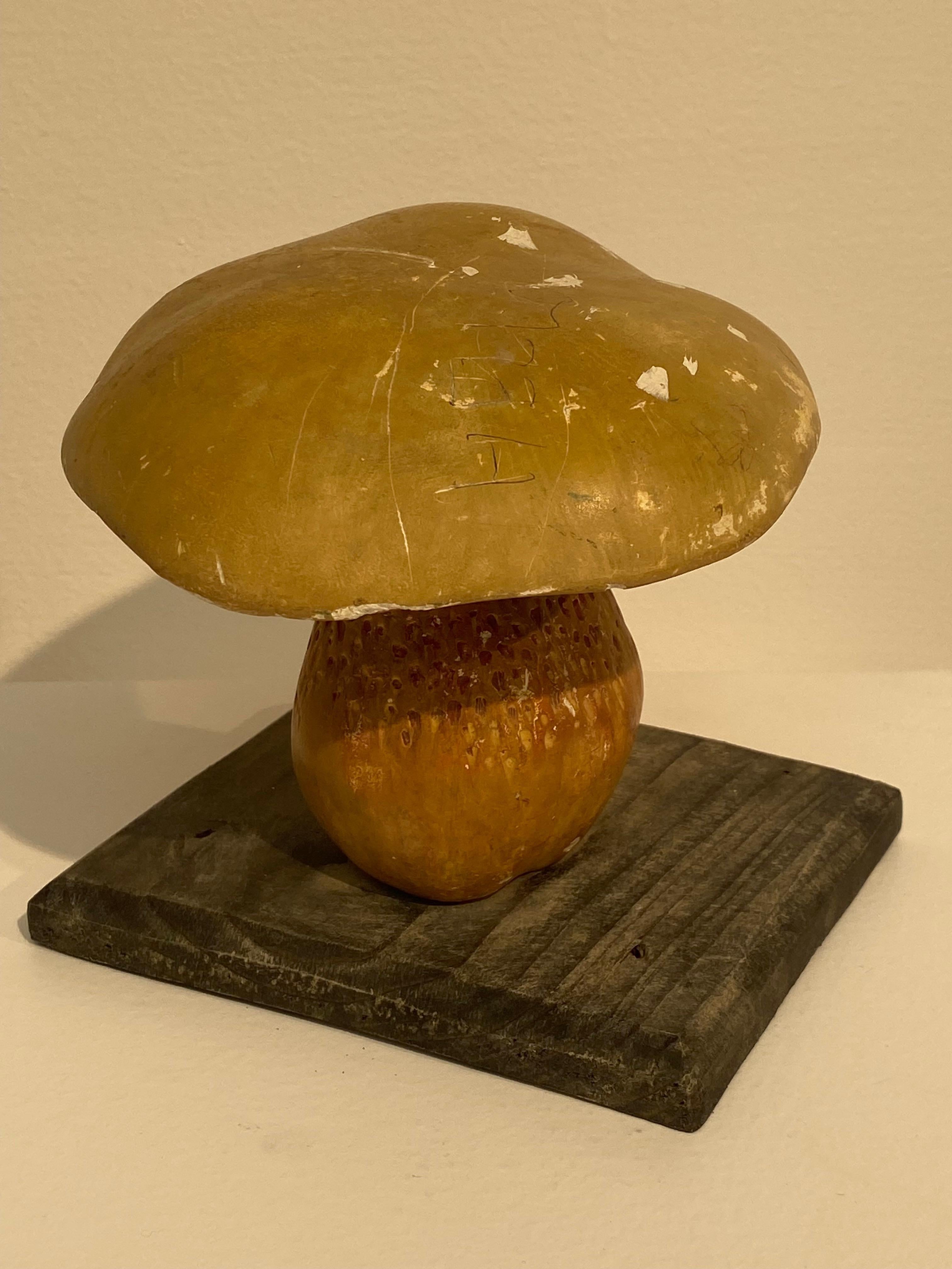 Eccezionale collezione di 10 funghi scientifici e botanici da
Europa centrale, a partire dal 1970. Repubblica Ceca,
utilizzati nelle scuole o nelle farmacie,
bella patina e lucentezza del legno e del materiale in gesso,
una grande collezione per la