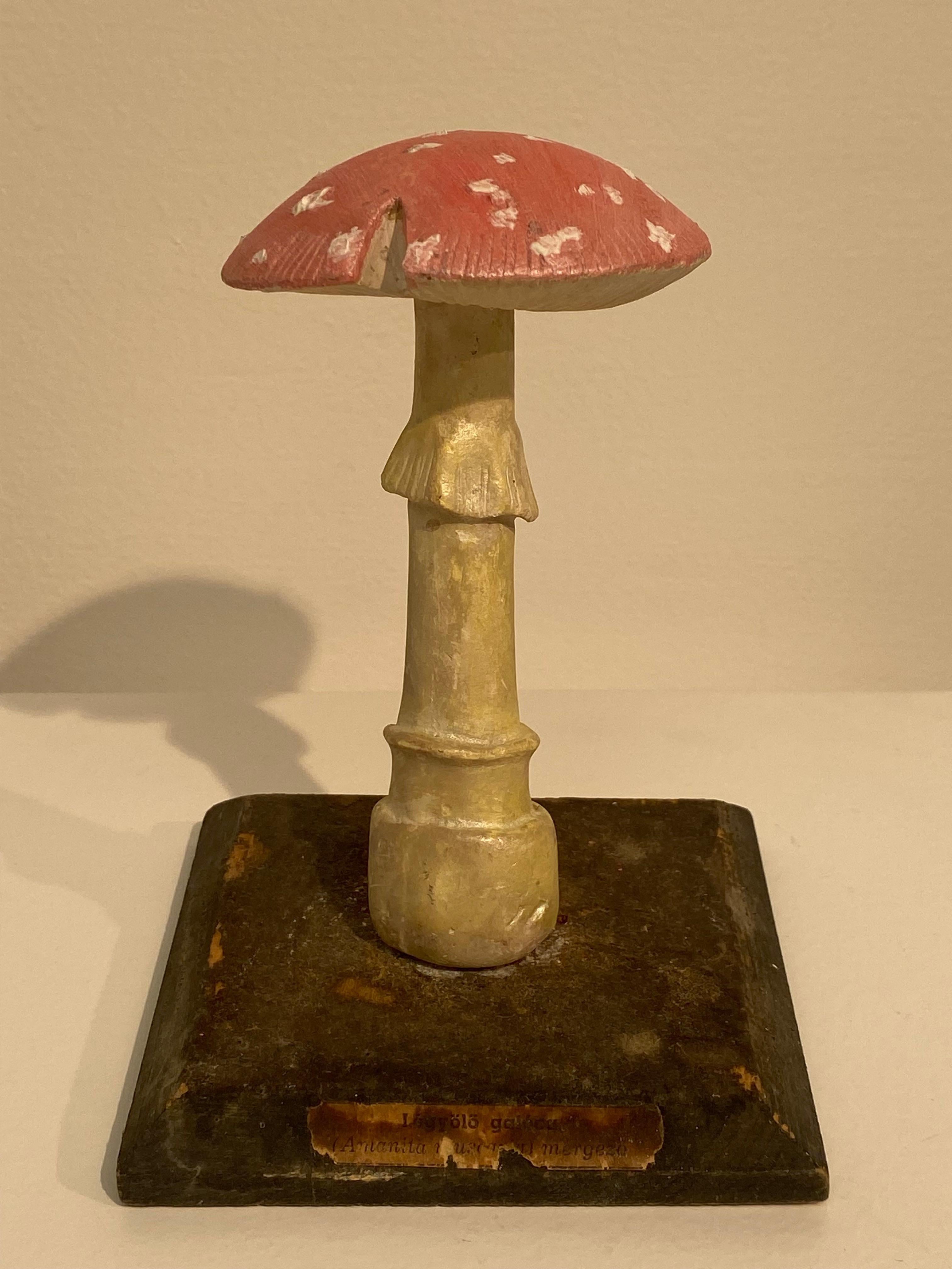 Ceco Collection'S di 10 modelli di funghi d'epoca