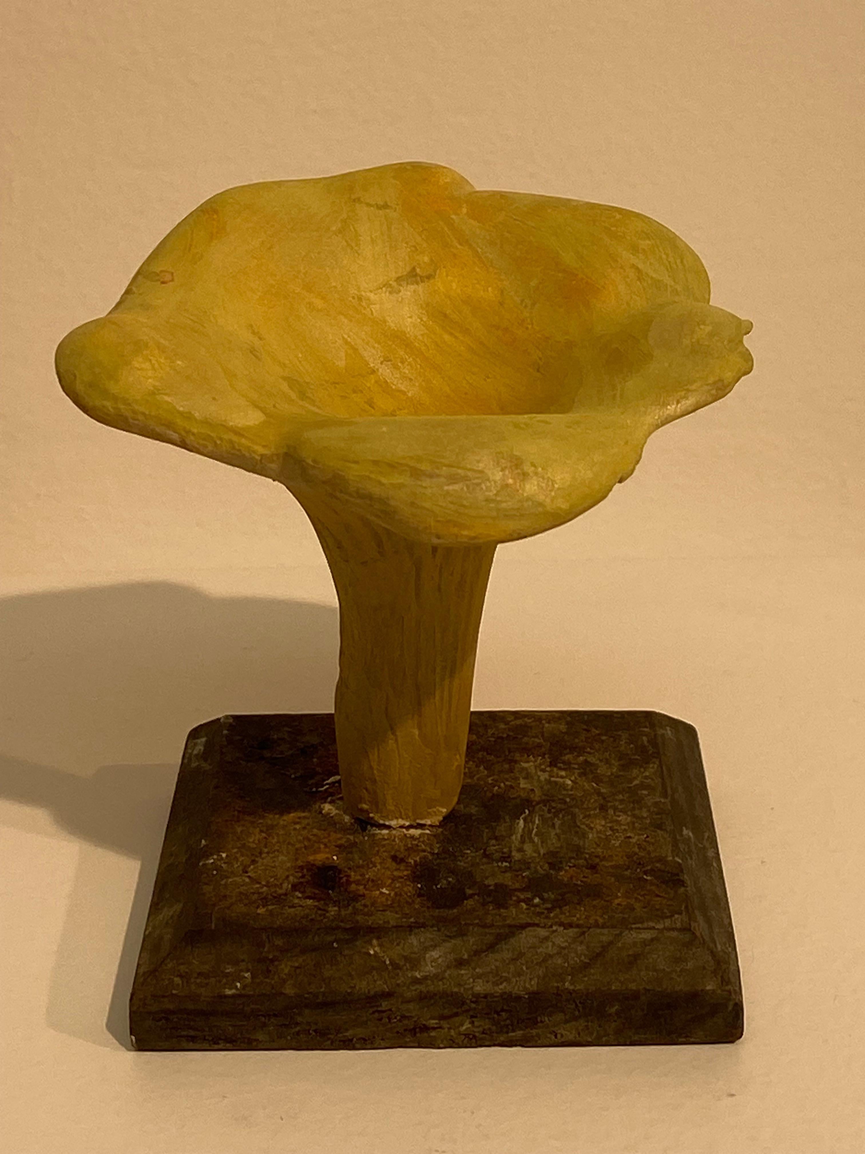Fine XX secolo Collection'S di 10 modelli di funghi d'epoca