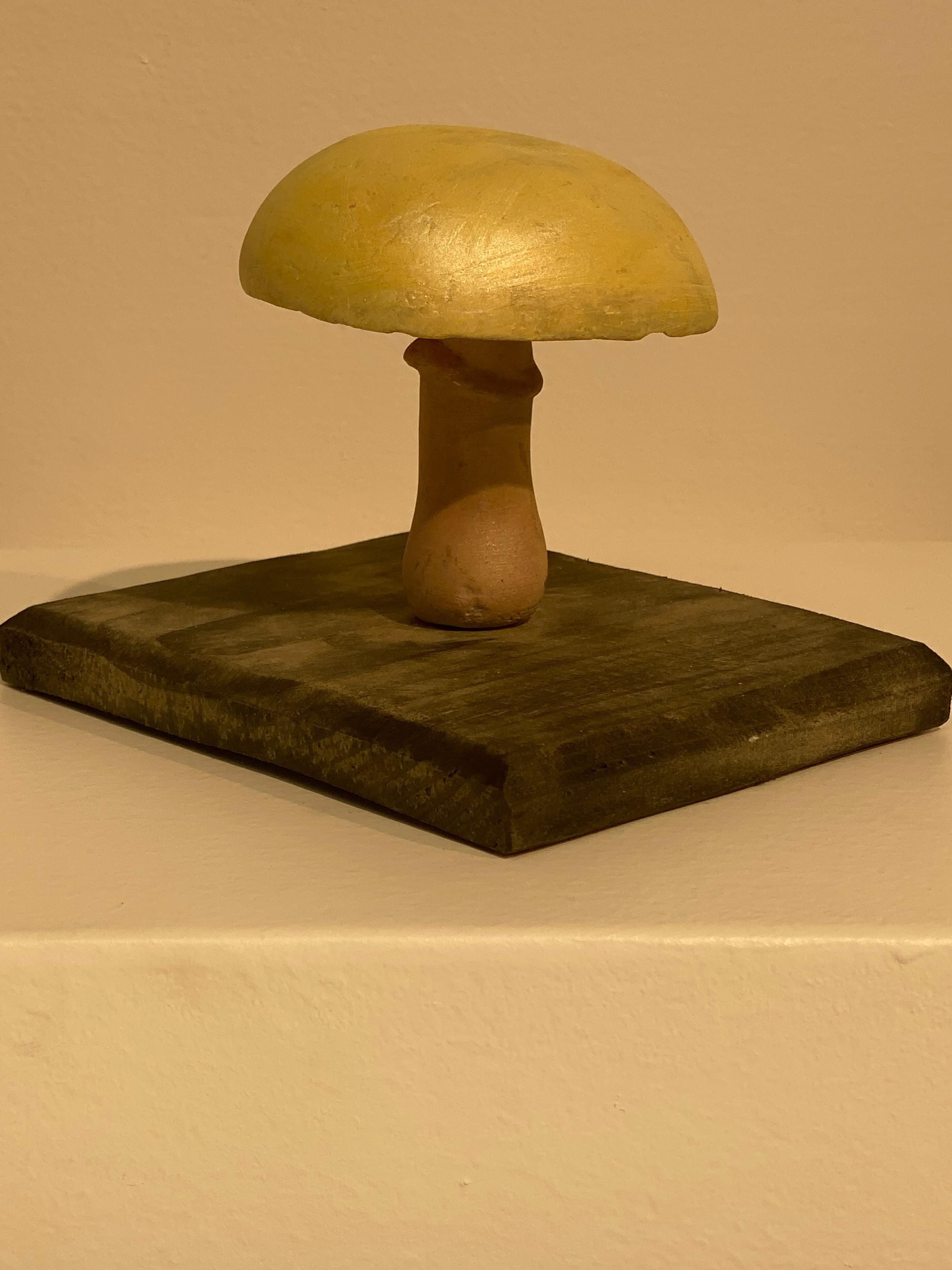Intonaco Collection'S di 10 modelli di funghi d'epoca