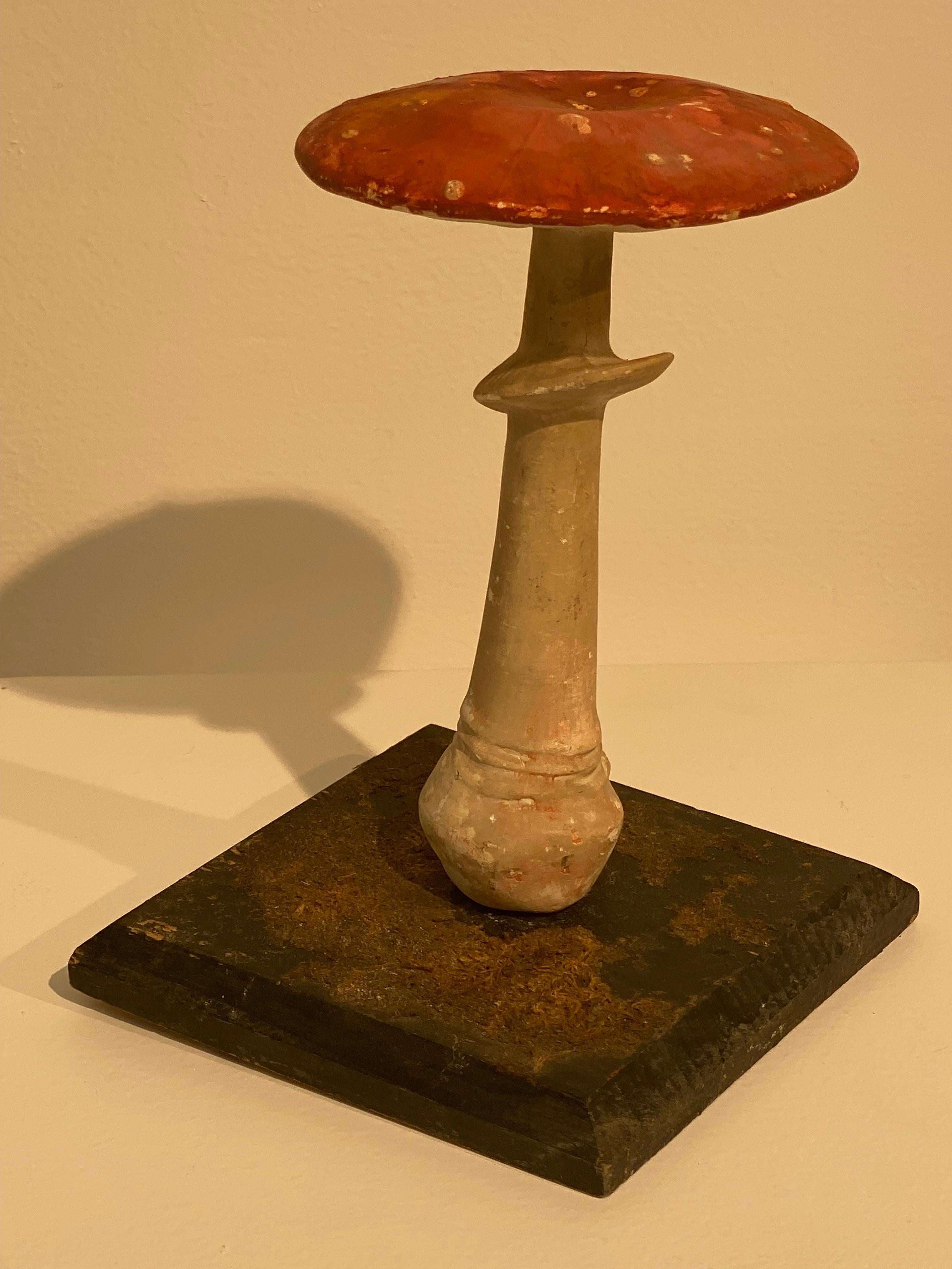 Collection'S di 10 modelli di funghi d'epoca 1