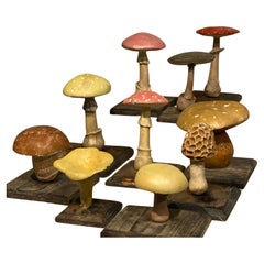 Collection'S di 10 modelli di funghi d'epoca