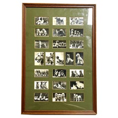 Vintage Collection of Black and White Photographic Images of Dogs Framed Matted
