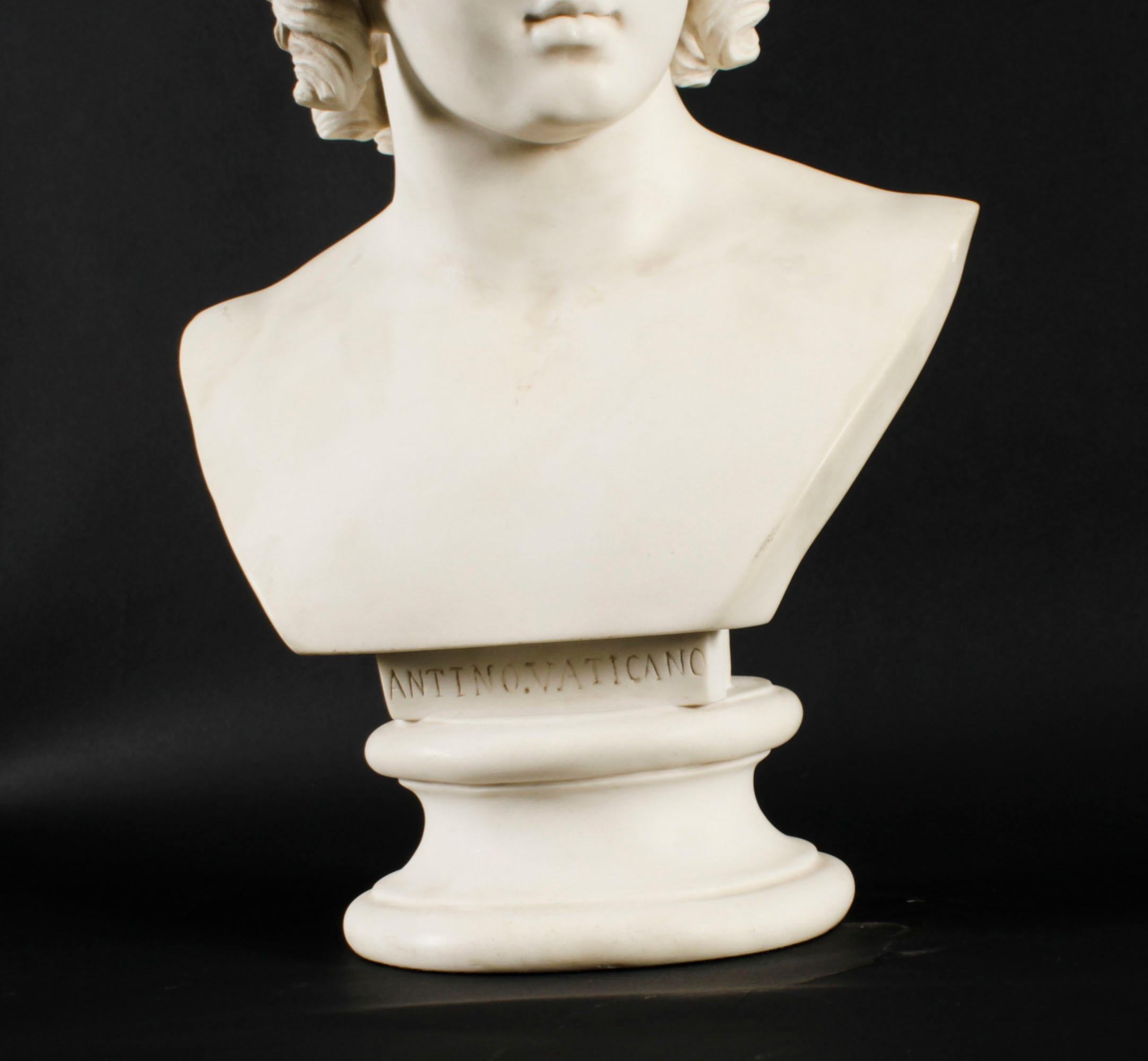Vintage Composite Marble Bust of Antinous Farnese 20th Century In Good Condition In London, GB