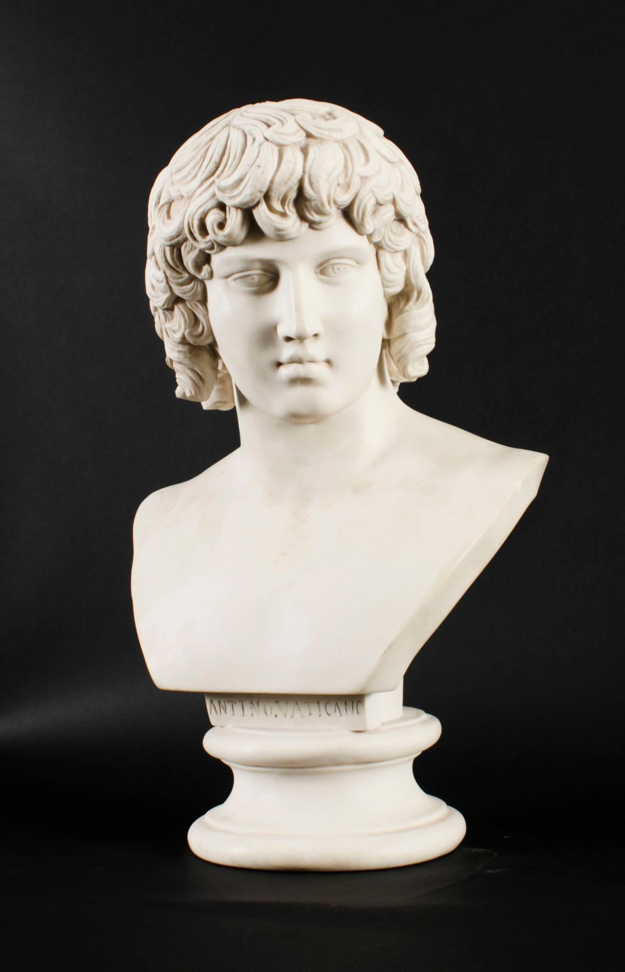 Vintage Composite Marble Bust of Antinous Farnese 20th Century 1
