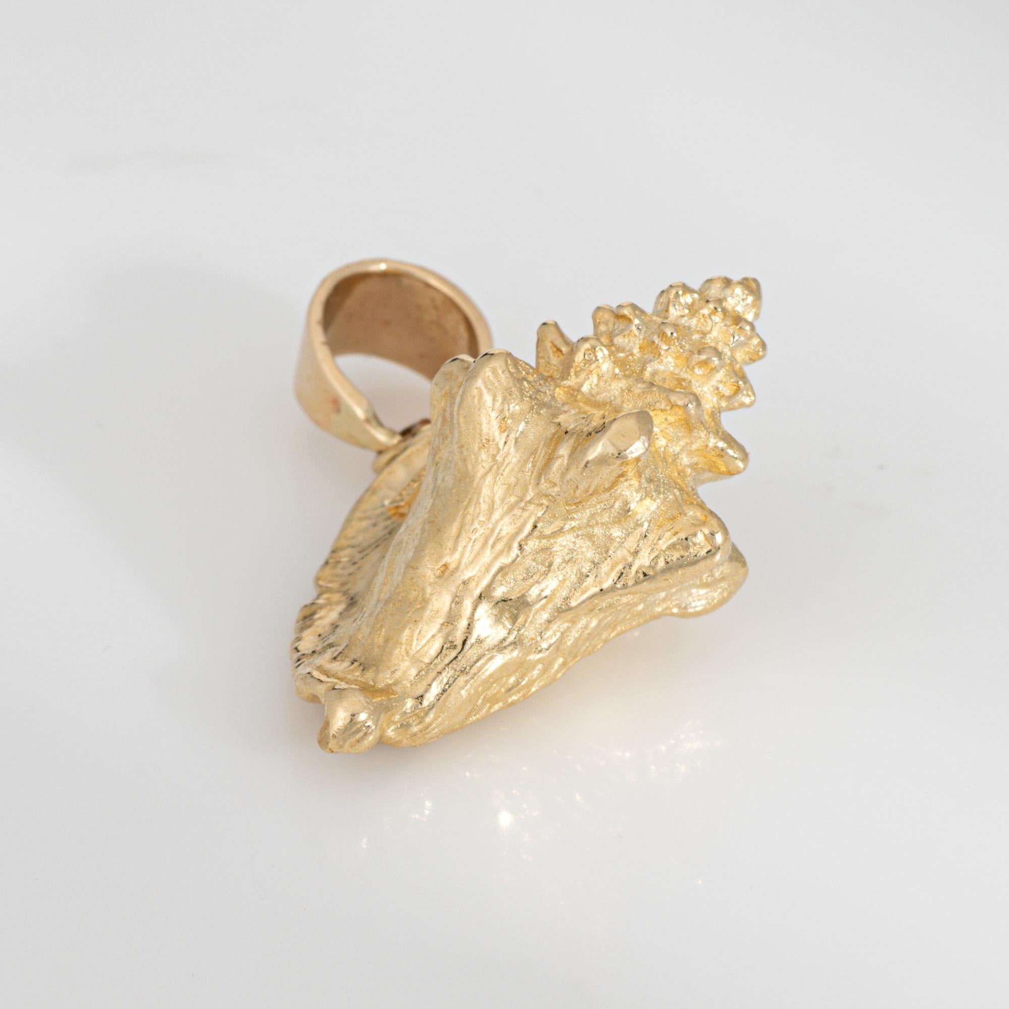 Women's or Men's Vintage Conch Shell Pendant 14k Gold Charm Heavy 17.7 Grams Sea Shell Ocean