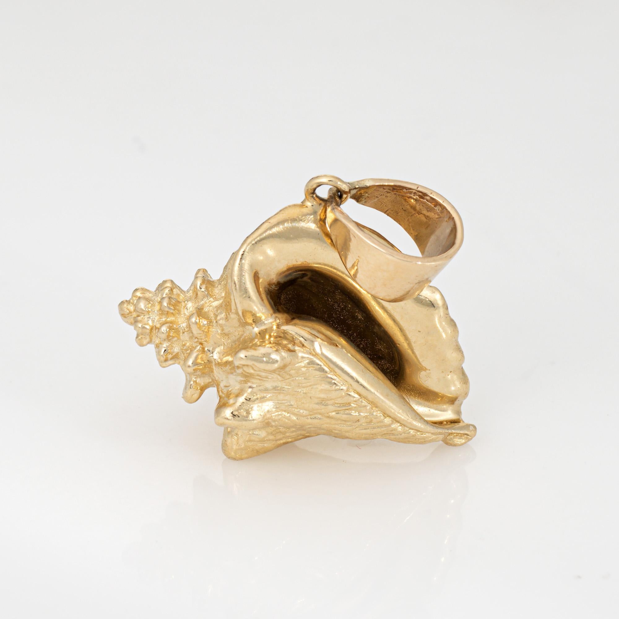 Vintage Conch Shell Pendant 14k Gold Charm Heavy 17.7 Grams Sea Shell Ocean 1