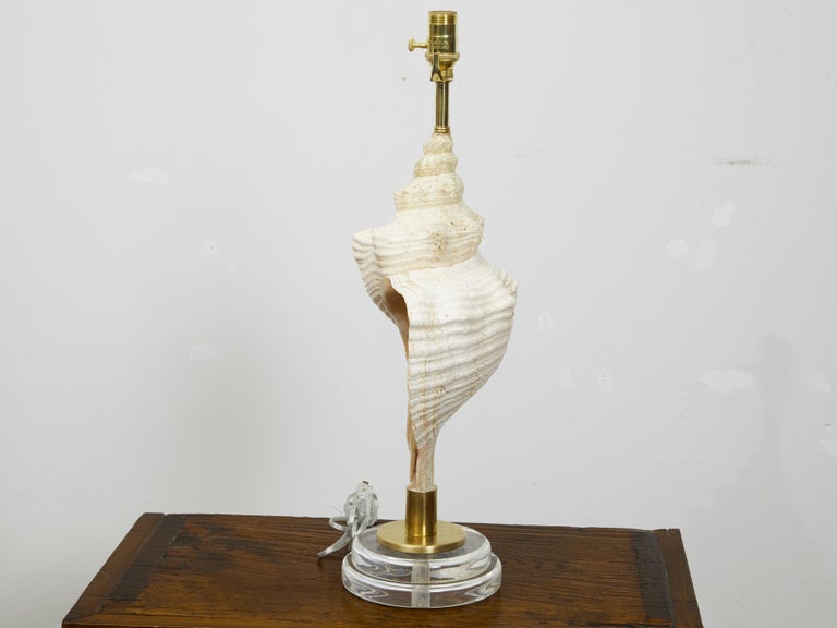 Vintage Conch Shell Table Lamp from the Midcentury Mounted on Round ...