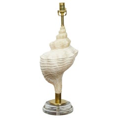 Retro Conch Shell Table Lamp from the Midcentury Mounted on Round Lucite Base