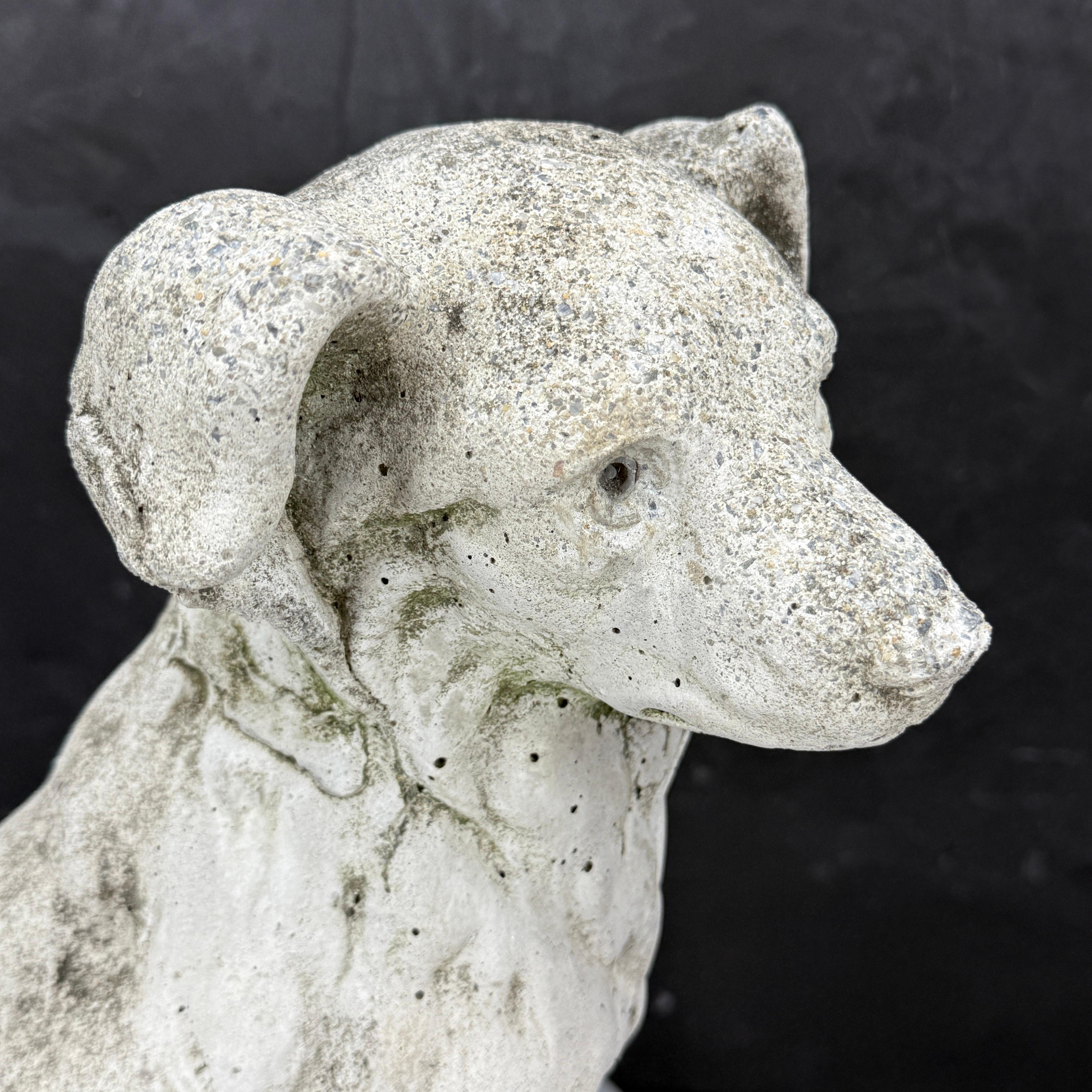 Vintage Concrete Dog Sculpture Statue Garden Ornament 8