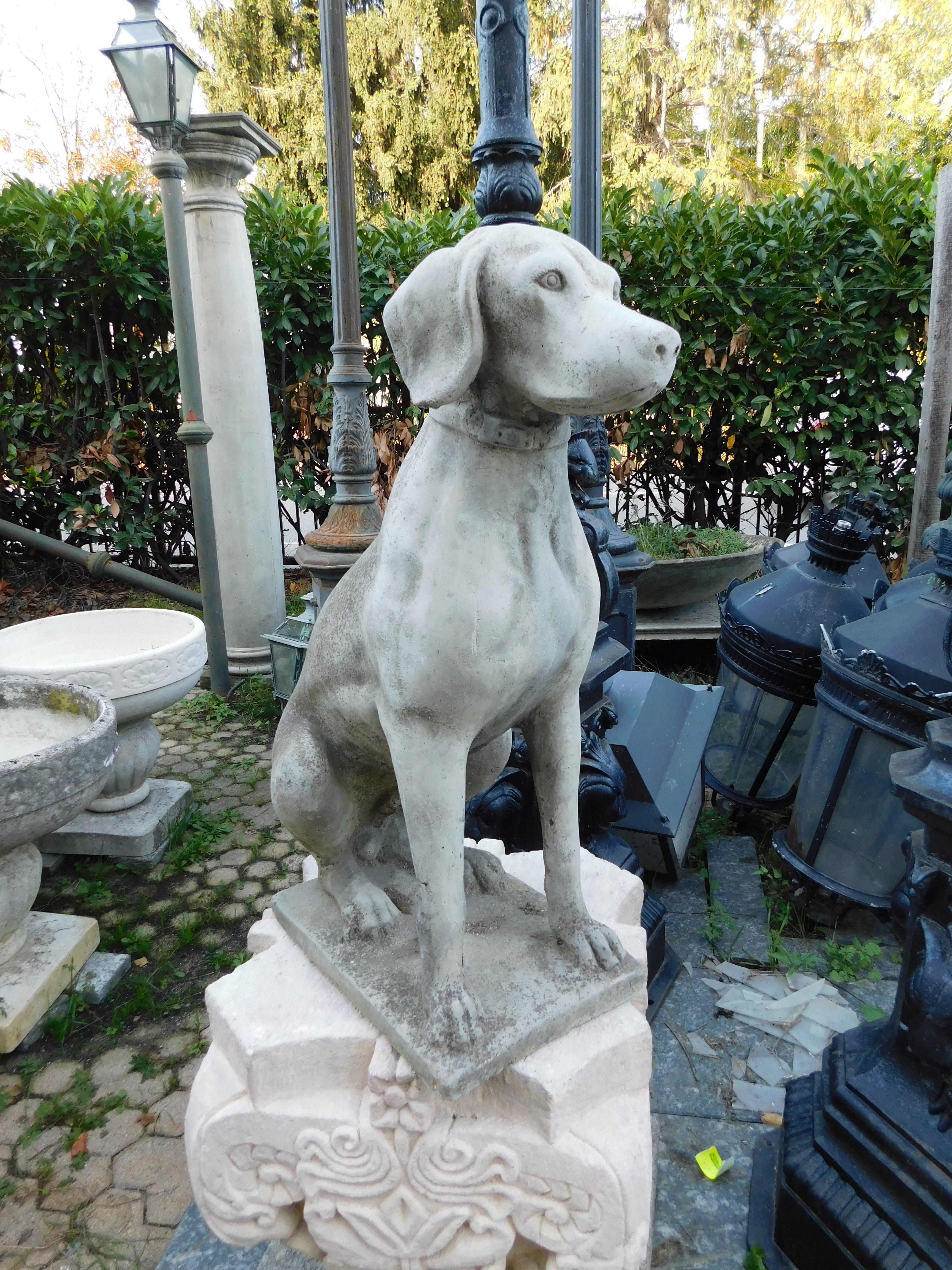 italien statue de chien en béton vintage, Italie en vente