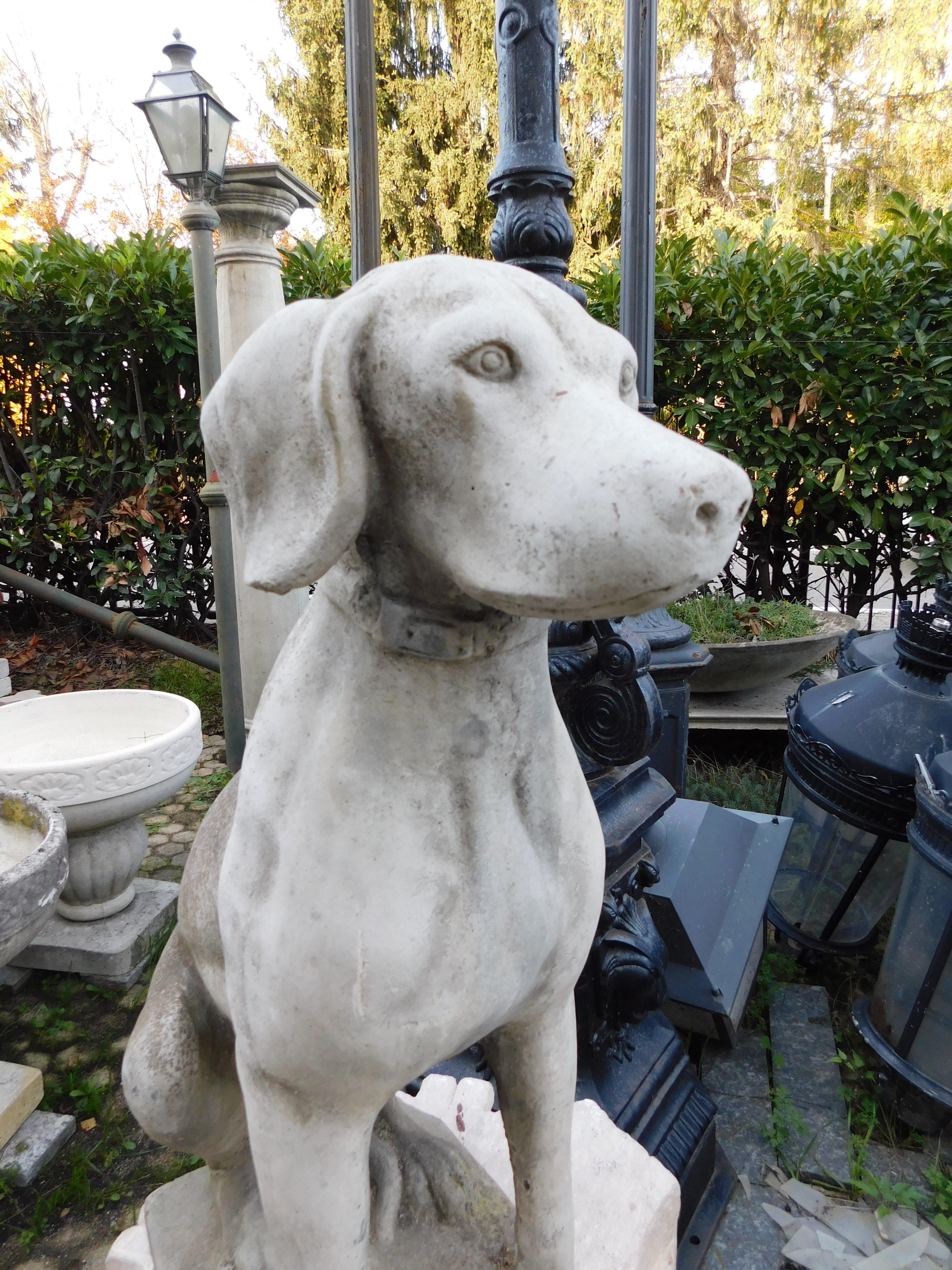 Vintage- Beton-Hundestatue aus Beton, Italien (Geschnitzt) im Angebot