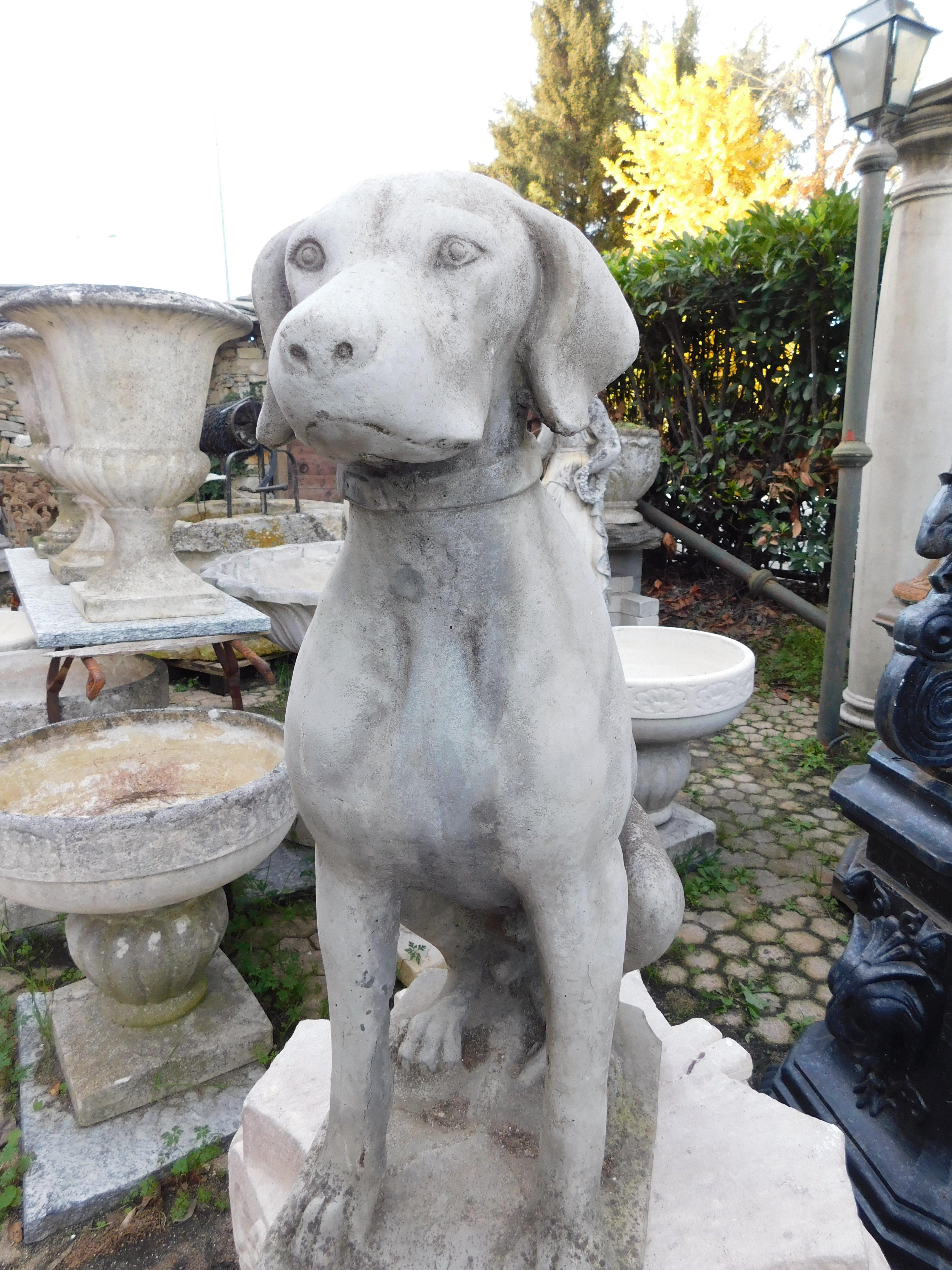 20ième siècle statue de chien en béton vintage, Italie en vente