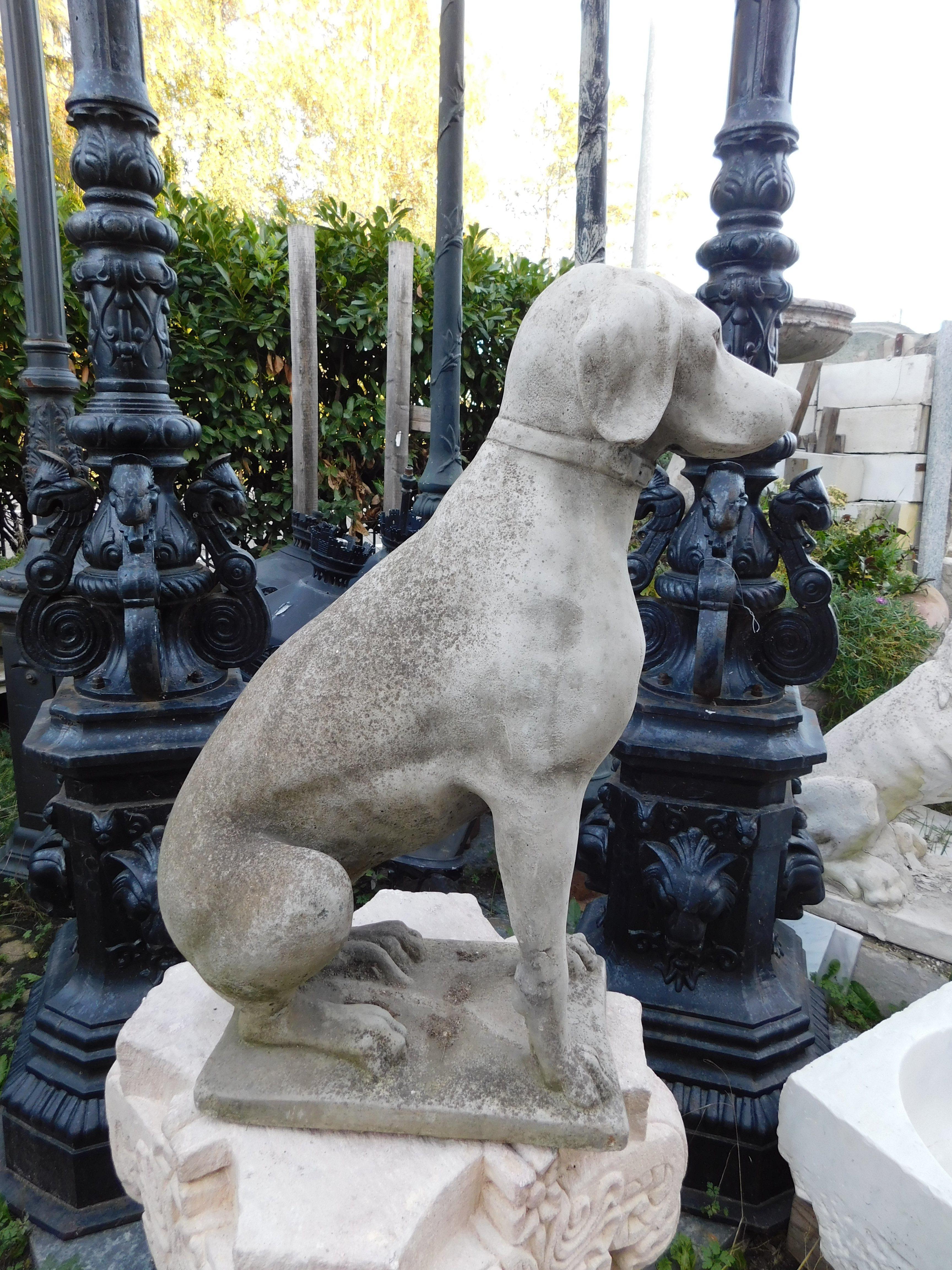 Carved Vintage concrete dog statue, Italy For Sale