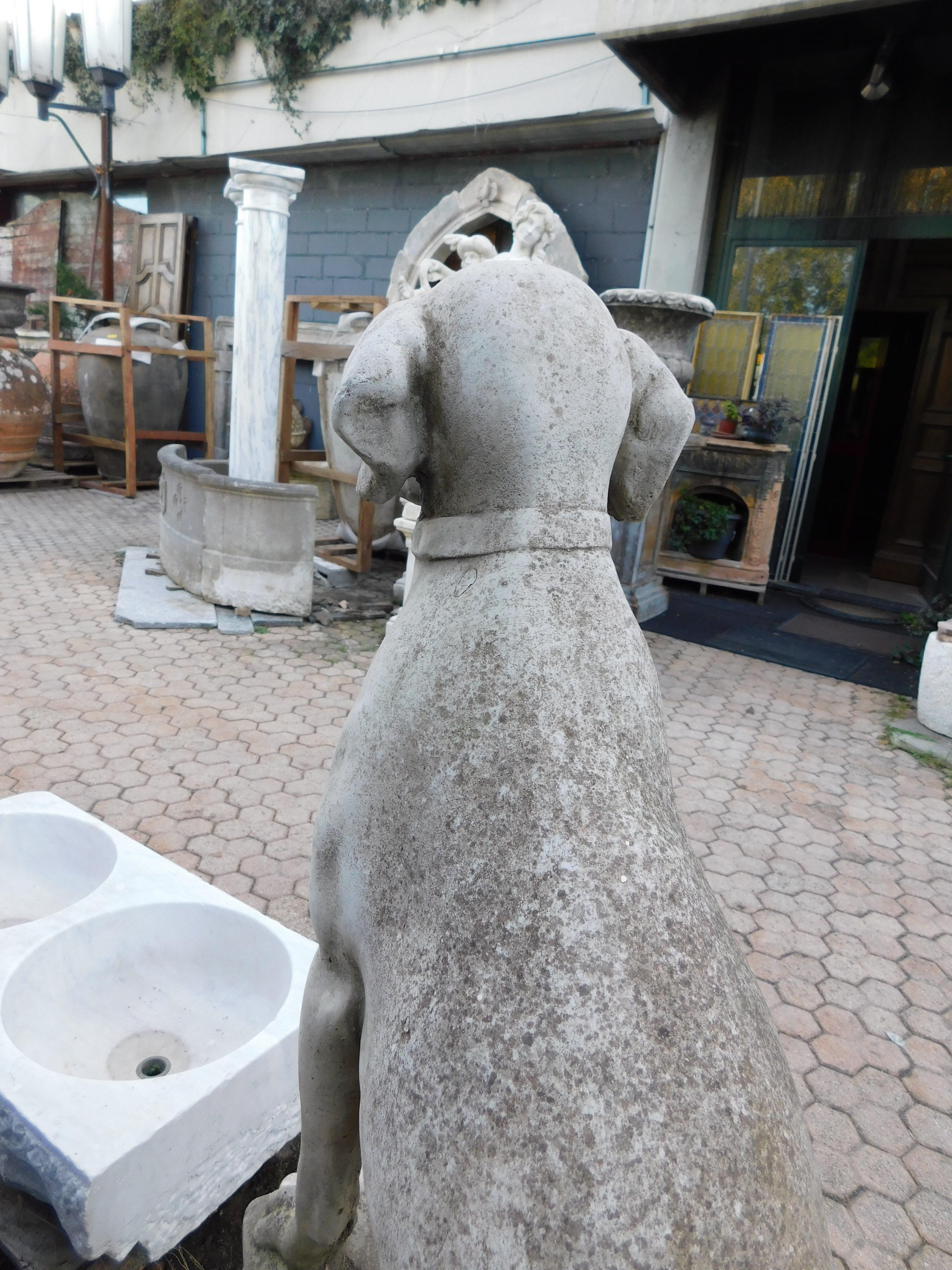 Concrete Vintage concrete dog statue, Italy For Sale