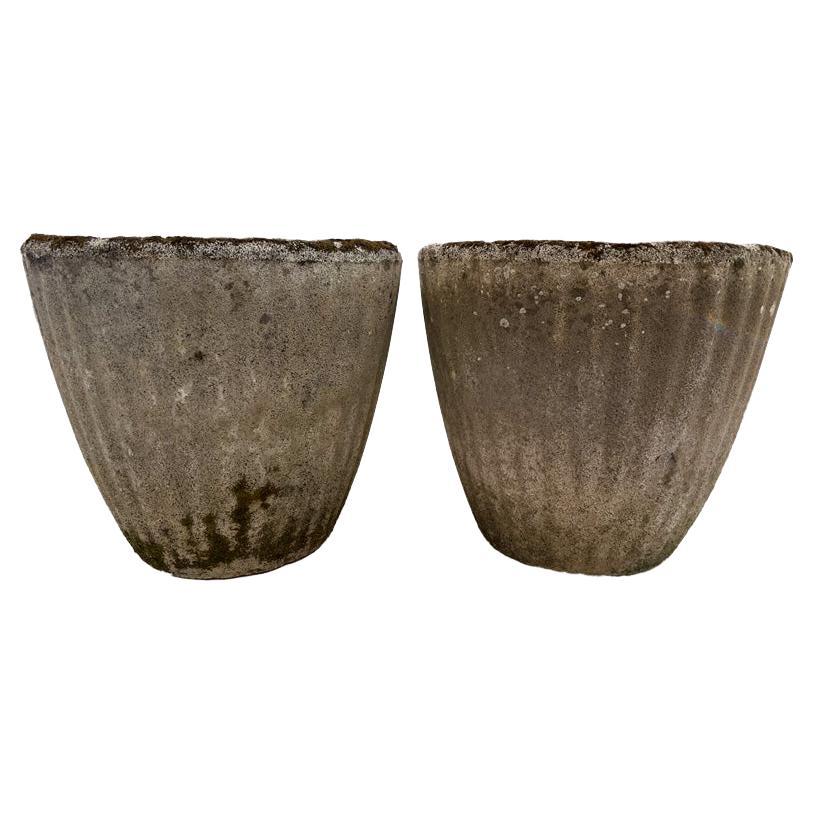 Antique & Vintage Planters and Jardinieres For Sale in New Orleans Near Me