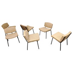 Vintage Conseil Chairs by Pierre Guariche 1950s, France