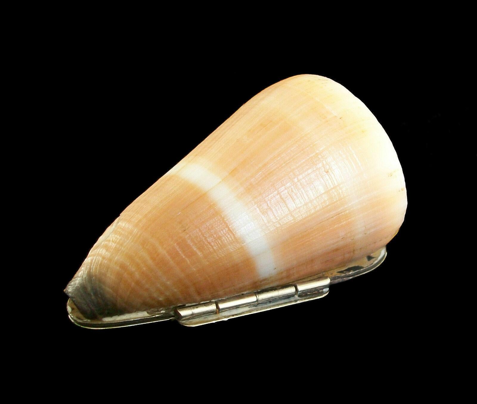 Sterling Silver Vintage Conus Seashell Box, Sterling Mounts, Hallmarked, Italy, 20th Century For Sale