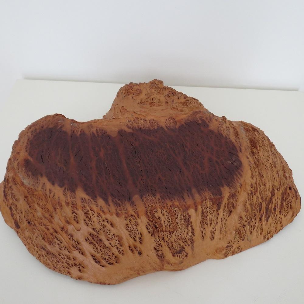 Ciotola decorativa d'epoca in legno di bava Coolibah lavorata a mano in vendita 5