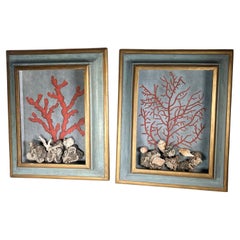 Vintage Coral Paintings