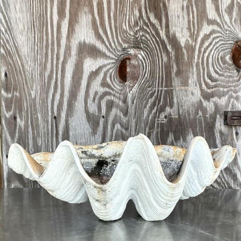 20ième siècle Coquillage Clam Costal Gigas en résine en vente
