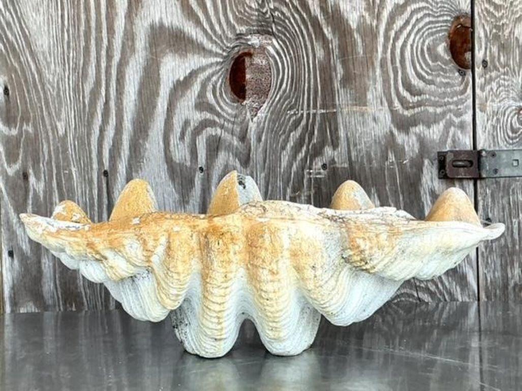 Coquillage Clam Costal Gigas en résine en vente 1