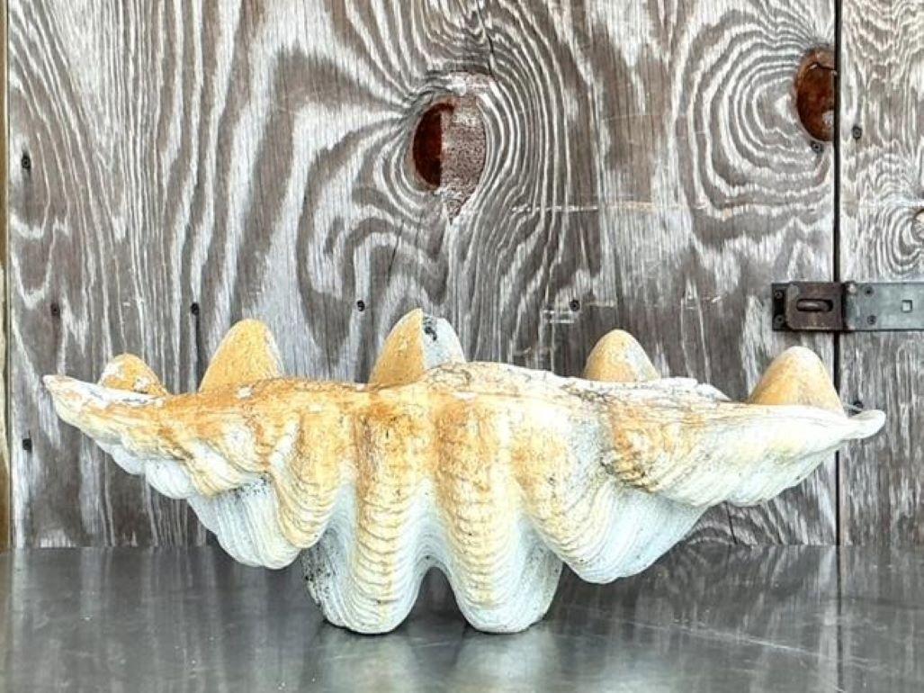 Coquillage Clam Costal Gigas en résine en vente 3