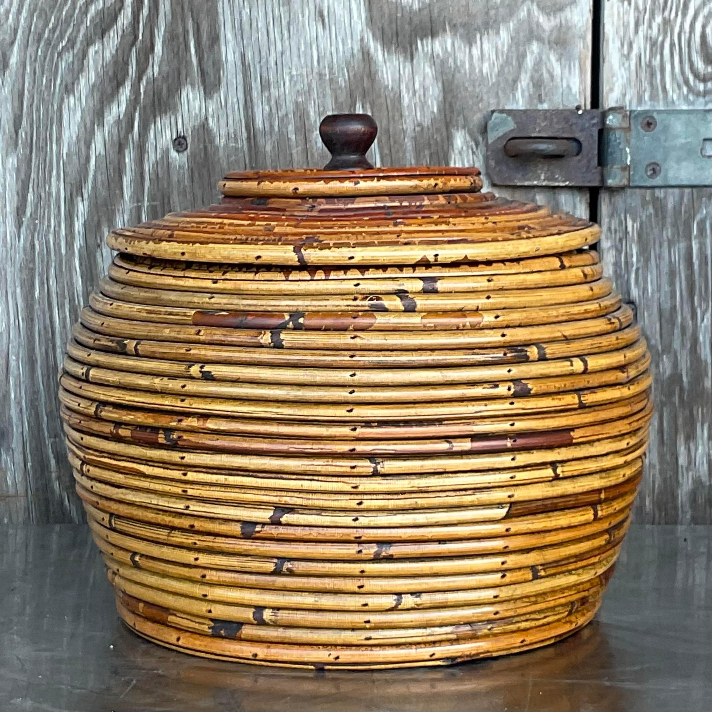 Philippine Vintage Costal Pencil Reed Low Lidded Urn For Sale