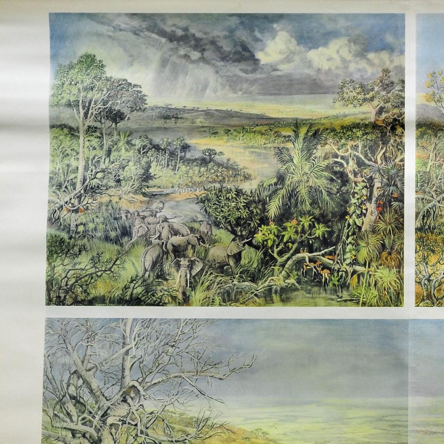 A countrycore pull-down wallchart illustrating the African savanna landscape during the yearly seasons (supported by climate graphs), cozyness wild animals (e.g. elephants) and farming life, published in GDR. Colorful print on paper reinforced with