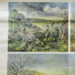 Vintage Cottagecore Rollable Wallchart Africa Savanna Landscape Weather Seasons