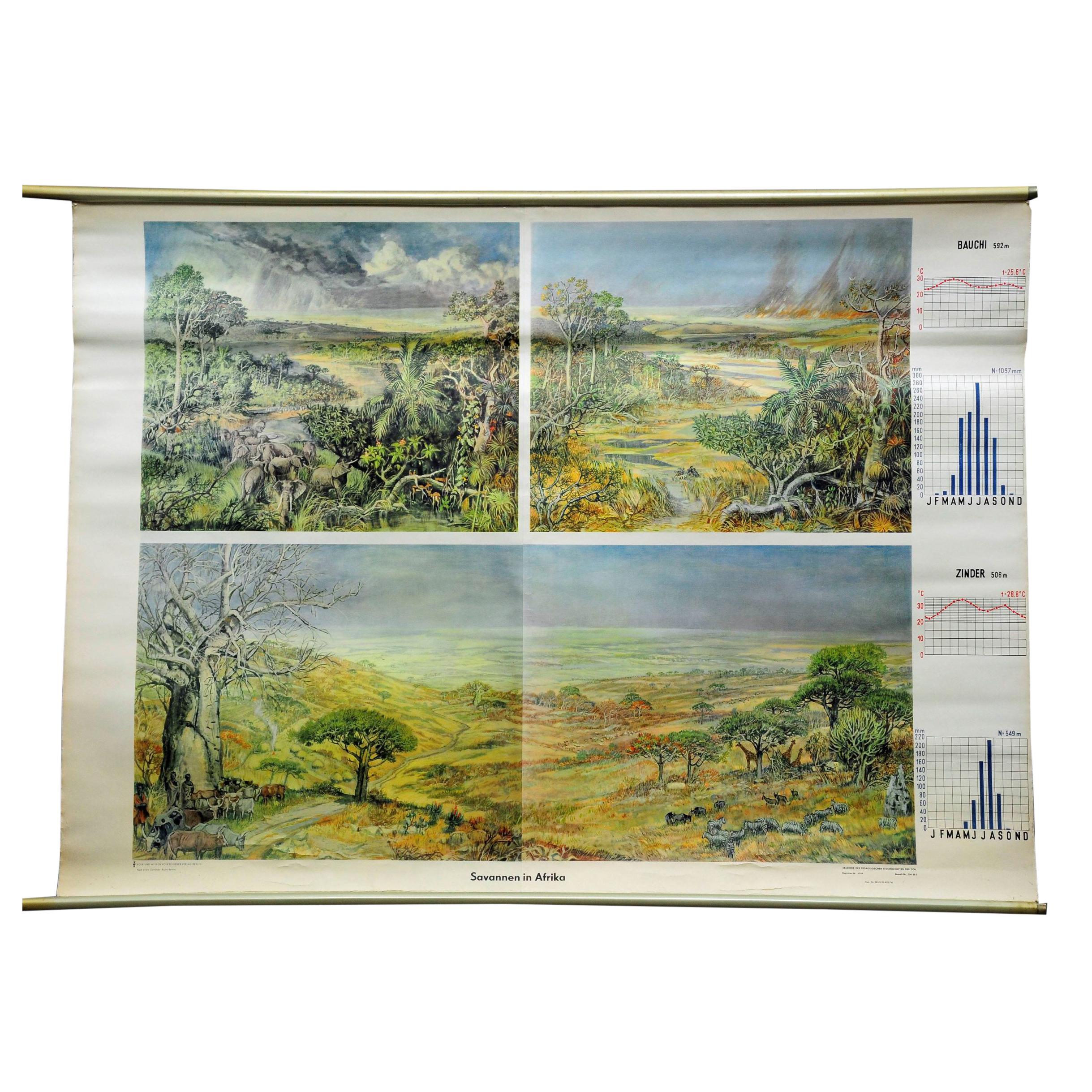 Vintage Cottagecore Rollable Wallchart Africa Savanna Landscape Weather Seasons