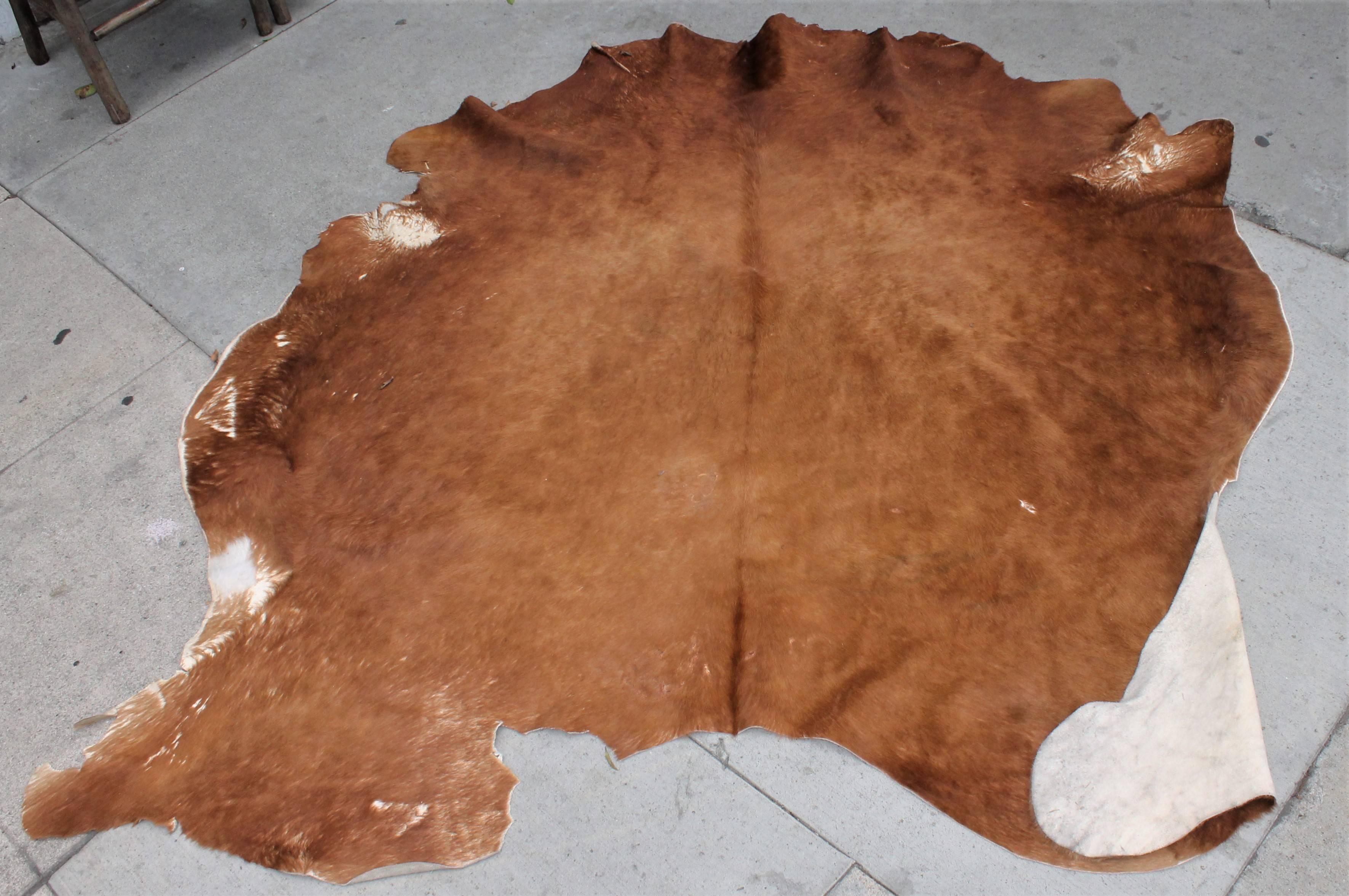 This large full size cow hide is in great as found condition. It has branding marks on it. It is a real mellow shade of camel color.