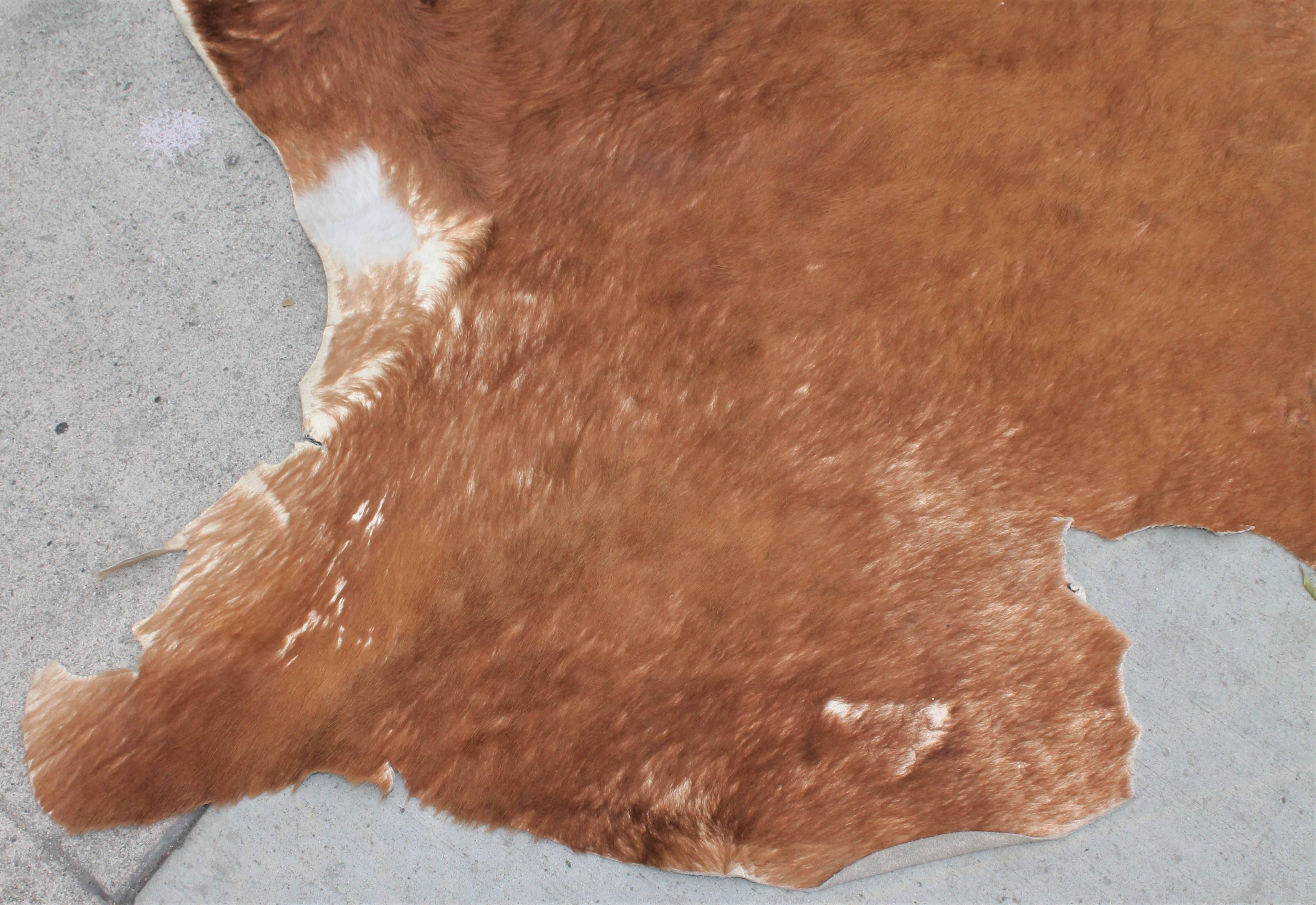 American Vintage Cow Hide From Texas