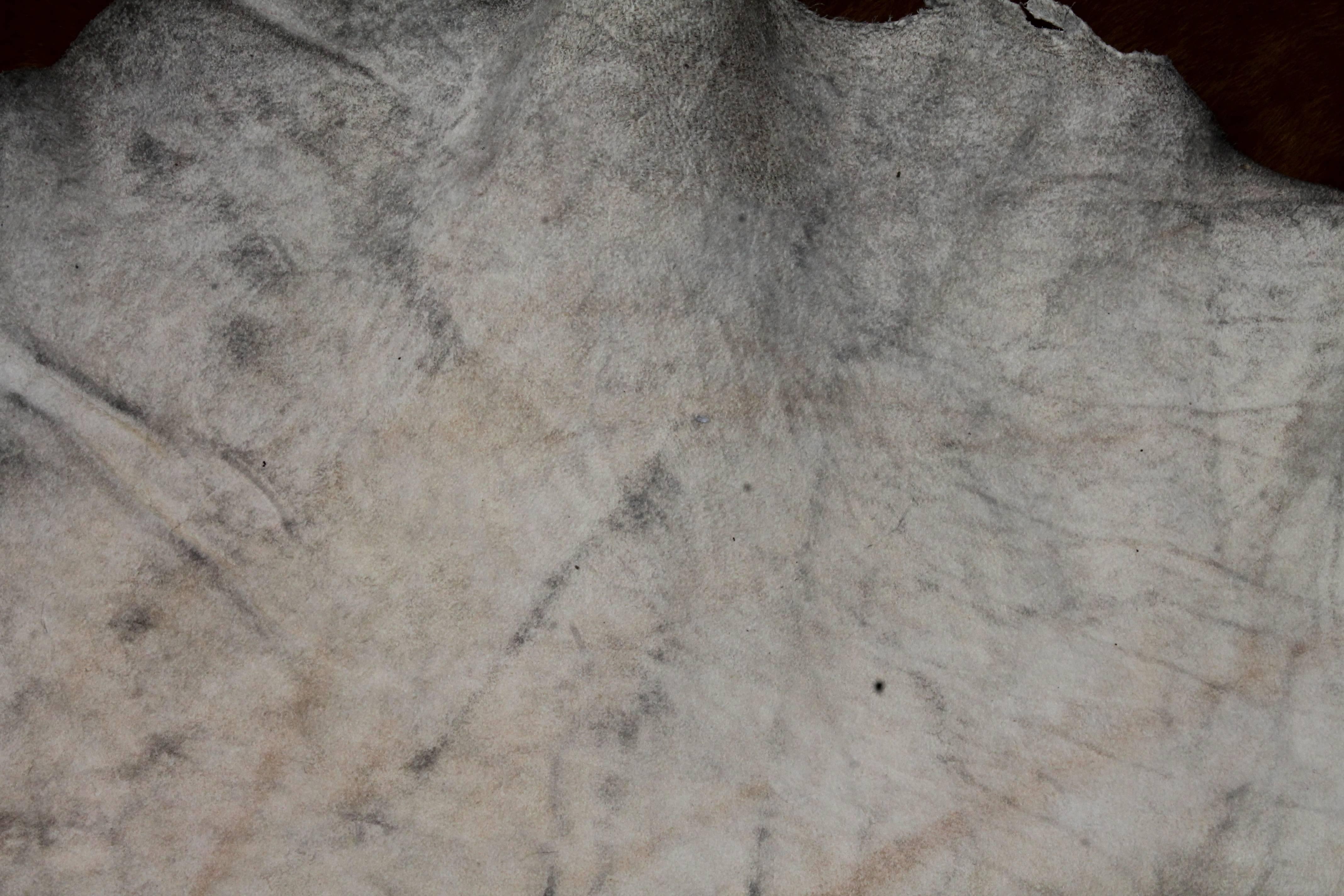 20th Century Vintage Cow Hide From Texas