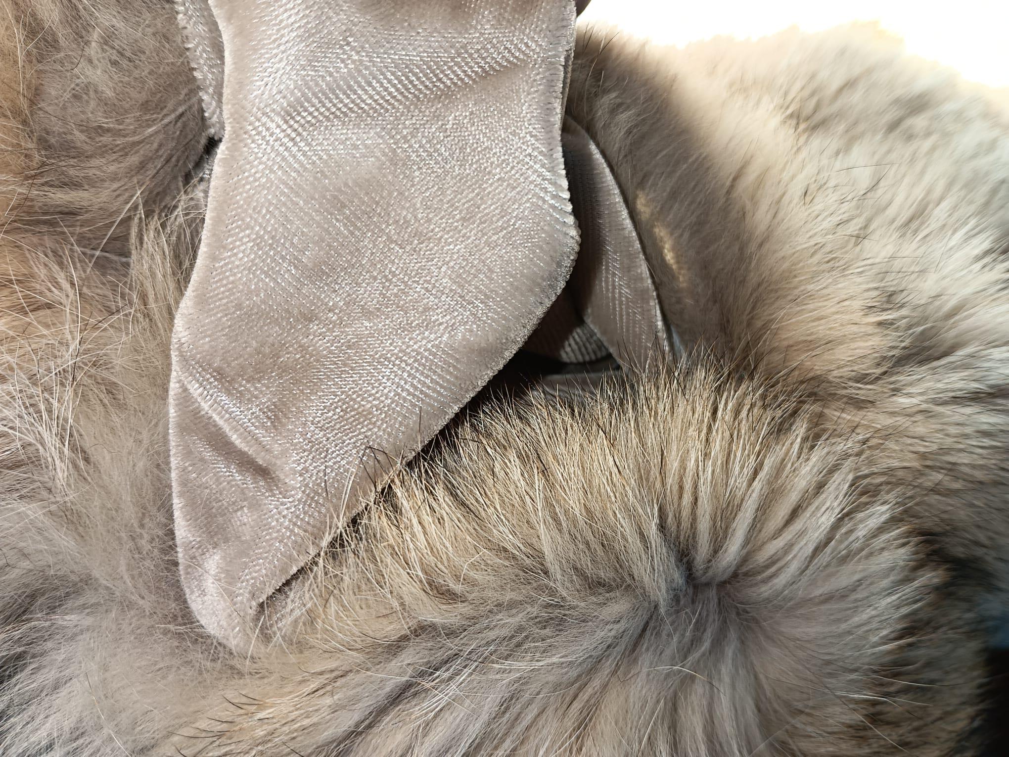 Gilet vintage in pelliccia di coyote M. in vendita 8