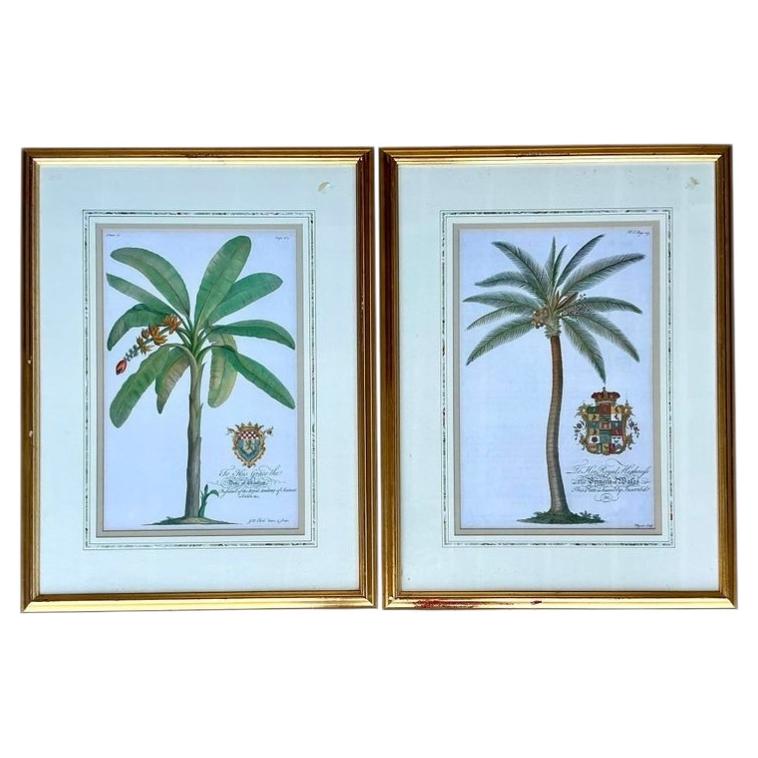 Vintage Crested Palm Etchings - A Pair