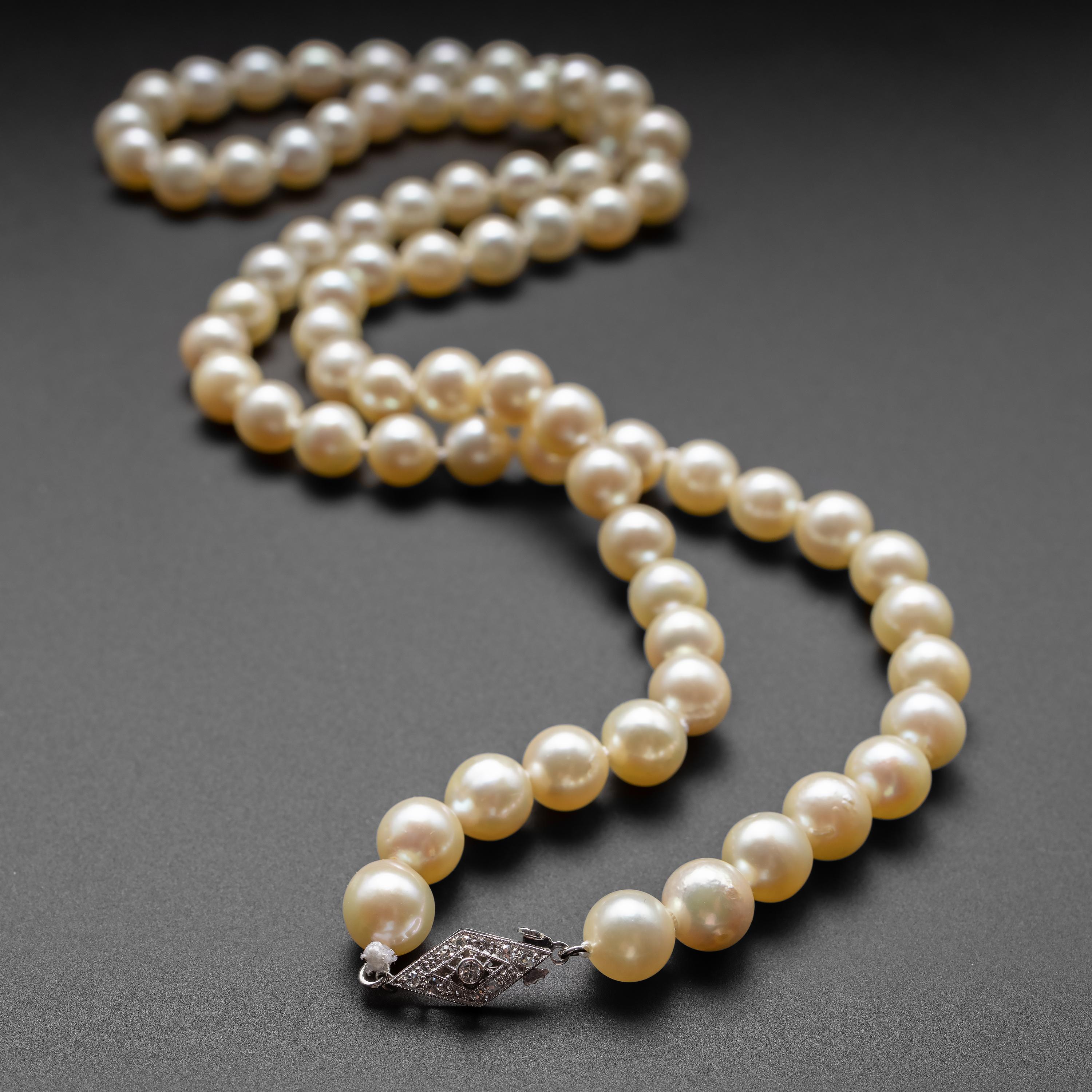 akoya pearl necklace vintage