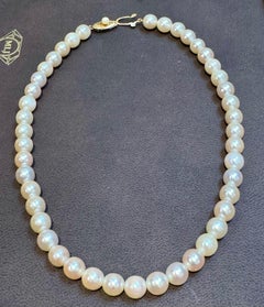 Vintage Cultured Akoya Pearl  Necklace Length 14" , 18 Karat Yellow Gold Clasp