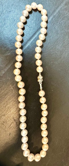 Perle de culture Akoya vintage  Longueur du collier 17", fermoir en or blanc 18 carats