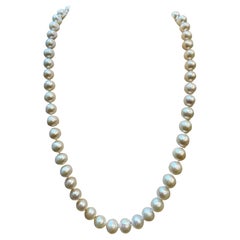 Vintage Cultured Akoya Pearl  Necklace Length 18" , 14 Karat Yellow Gold