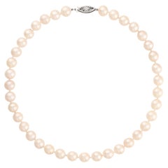 Collier Vintage perles de culture japonaises 8-8.5mm 17" or blanc 14K 