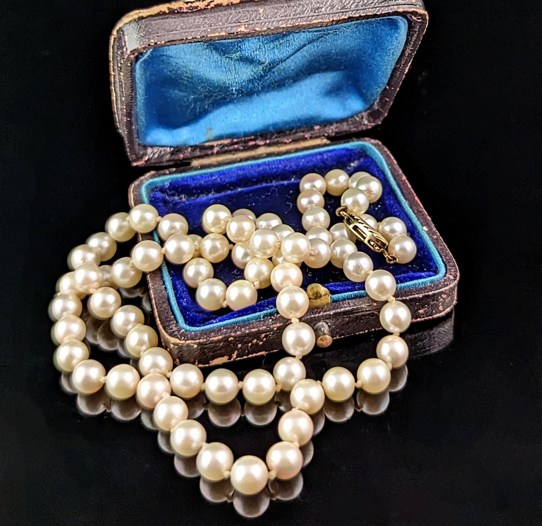 A stunning vintage mid century cultured pearl, single strand necklace.

Lustrous cultured pearls with such lovely Rosey and blue overtones when hitting the light, a sumptuous and elegant piece, the classic pearl necklace is a timeless jewellery