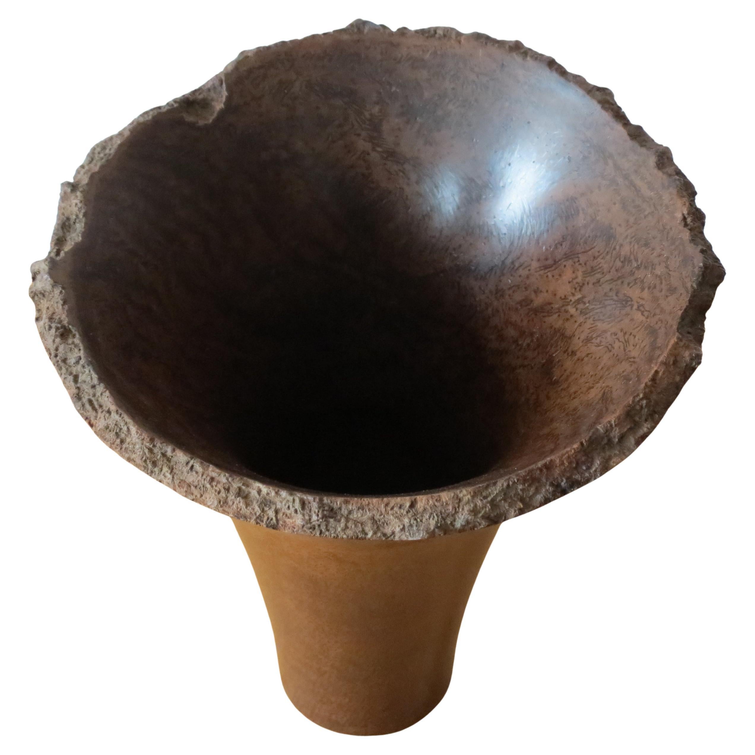 Handgedrehter Topf „ Trumpet“ in zylindrischer Form aus Grasbaumholz in zylindrischer Form im Angebot