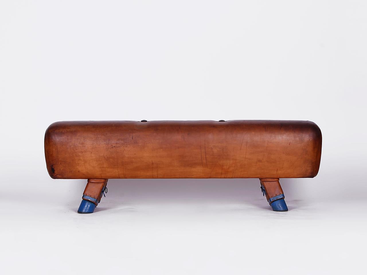 Tschechische Gymnastik-Bank/Pommelpferd/Holz- Handels-Top aus Leder, Vintage 1930er Jahre im Zustand „Gut“ im Angebot in Wien, AT