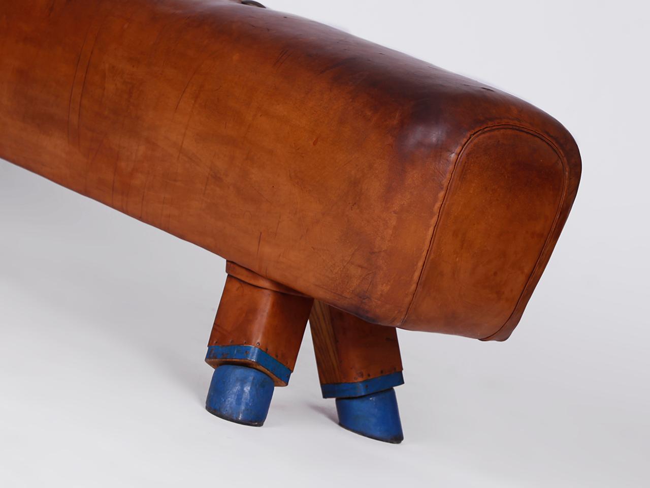 Tschechische Gymnastik-Bank/Pommelpferd/Holz- Handels-Top aus Leder, Vintage 1930er Jahre (20. Jahrhundert) im Angebot